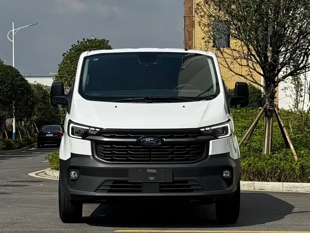 Ford Transit 2025 из CN, фото 2