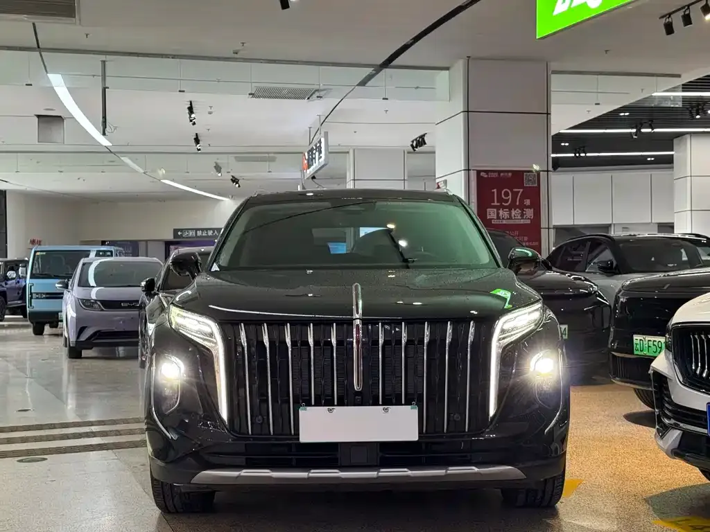 Hongqi HS7 PHEV — фото 2