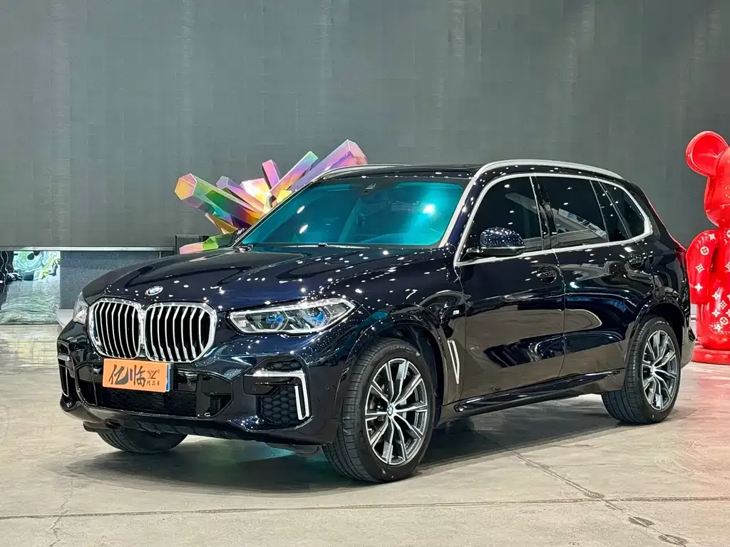 BMW X5 2023 из CN, фото 1