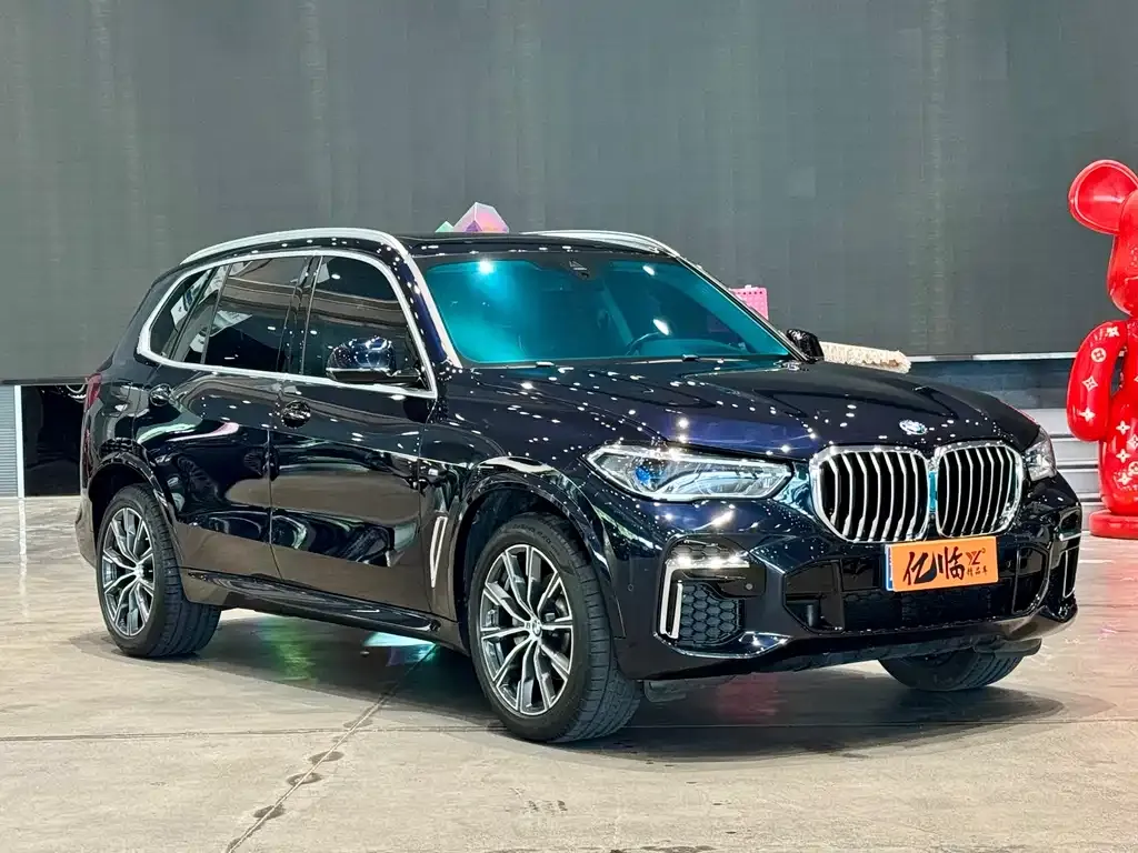 BMW X5 2023 из CN, фото 3
