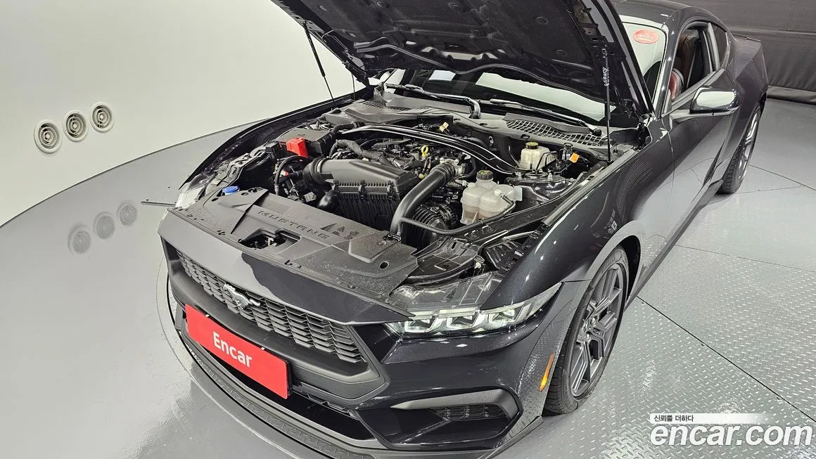 Ford Mustang 2024 из KR, фото 6