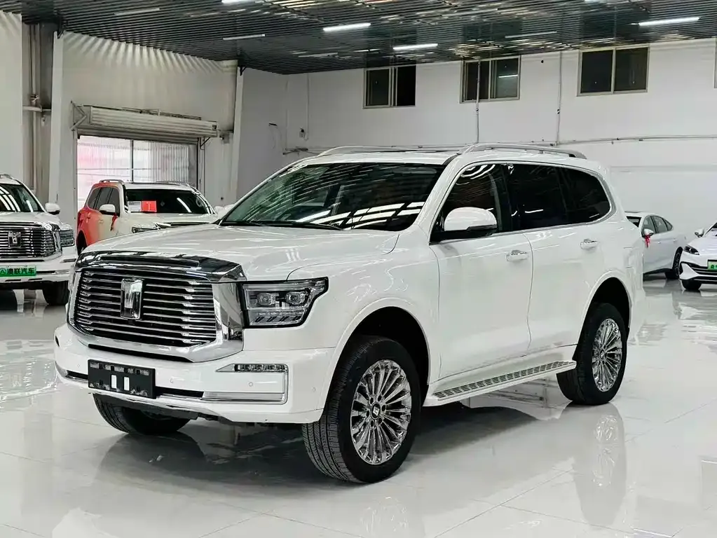 Tank 500 New Energy 2025 из CN, фото 1