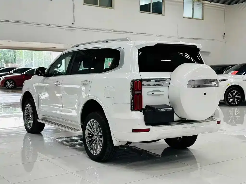 Tank 500 New Energy 2025 из CN, фото 9