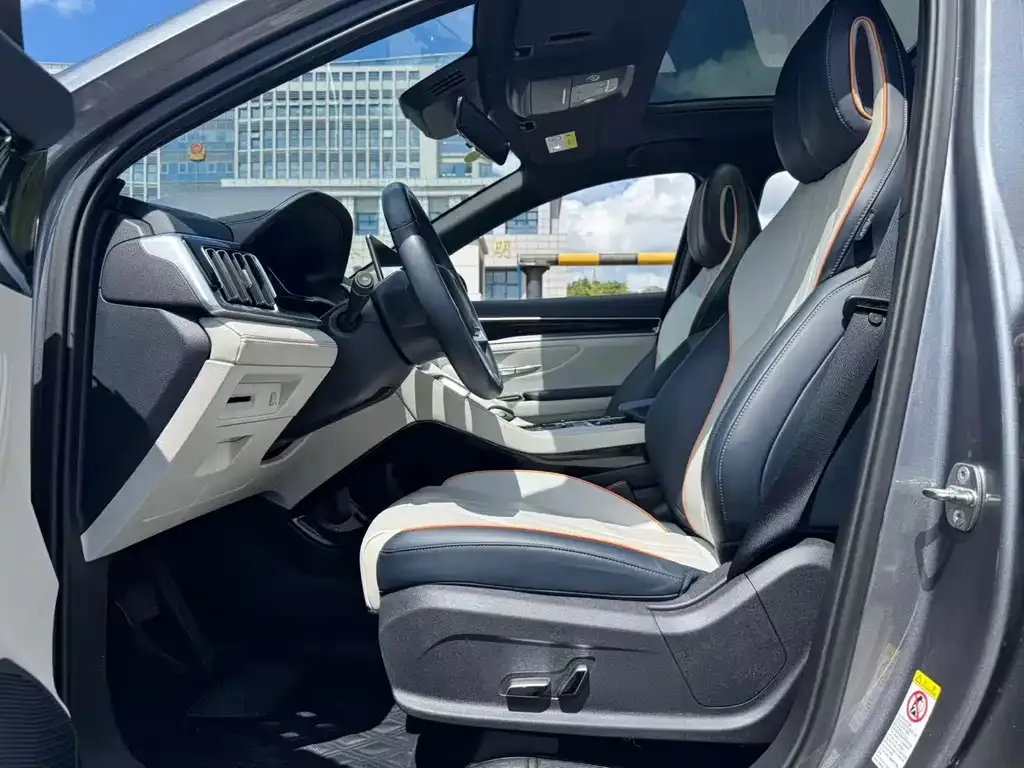 BYD PLUS New Energy 2023 из CN, фото 4