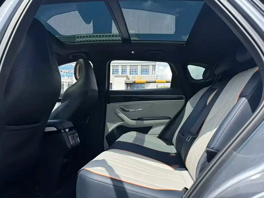BYD PLUS New Energy 2023 из CN, фото 5