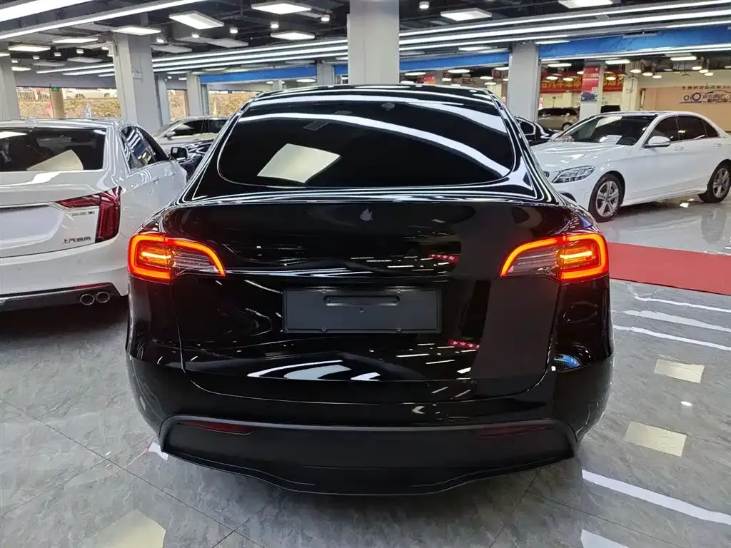 Tesla Model Y 2023 из CN, фото 6