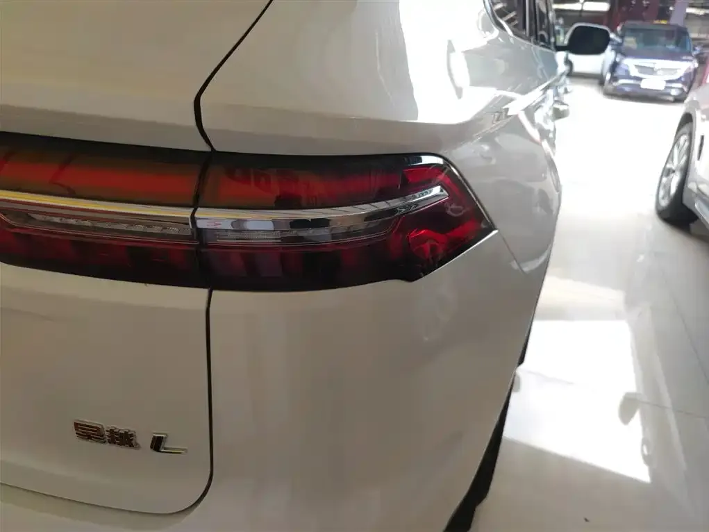 Geely Xingyue L 2023 из CN, фото 8