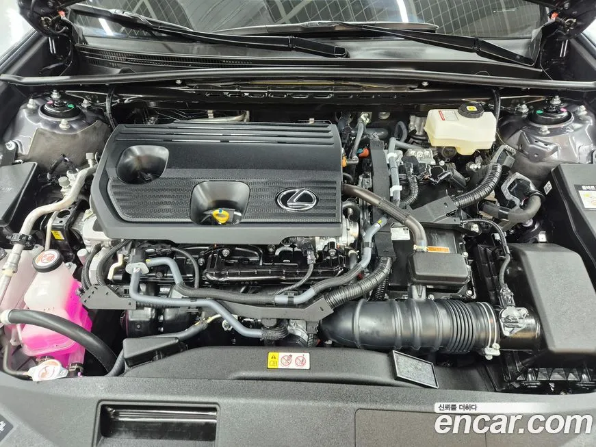 Lexus ES 2025 из KR, фото 6