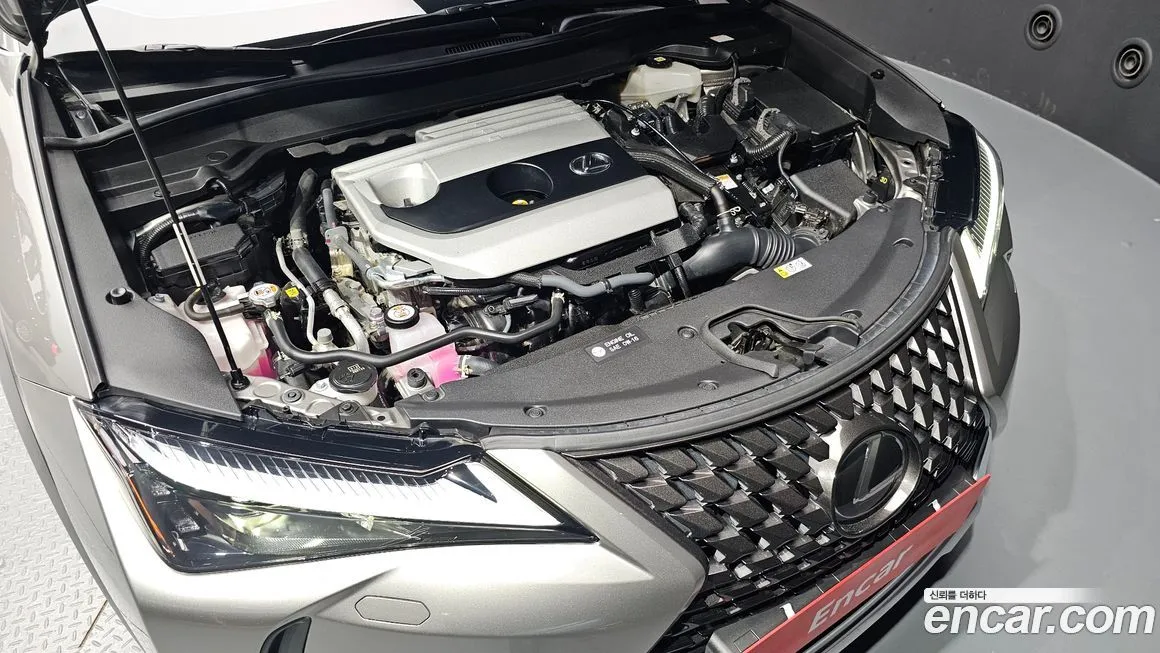 Lexus UX 2024 из KR, фото 6