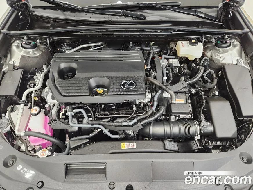 Lexus ES 2025 из KR, фото 7