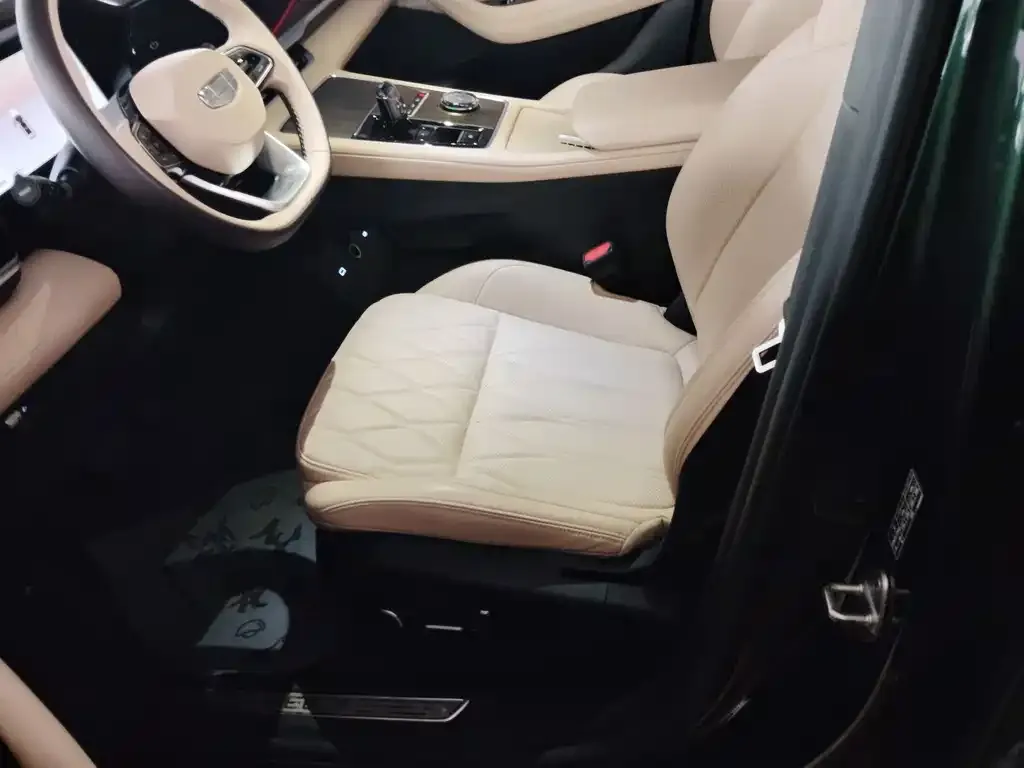 Geely Xingyue L 2024 из CN, фото 5