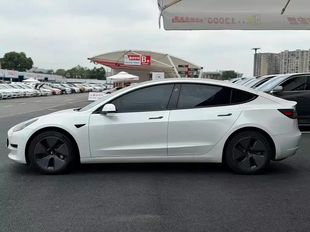 Tesla Model 3 2023 из CN, фото 3