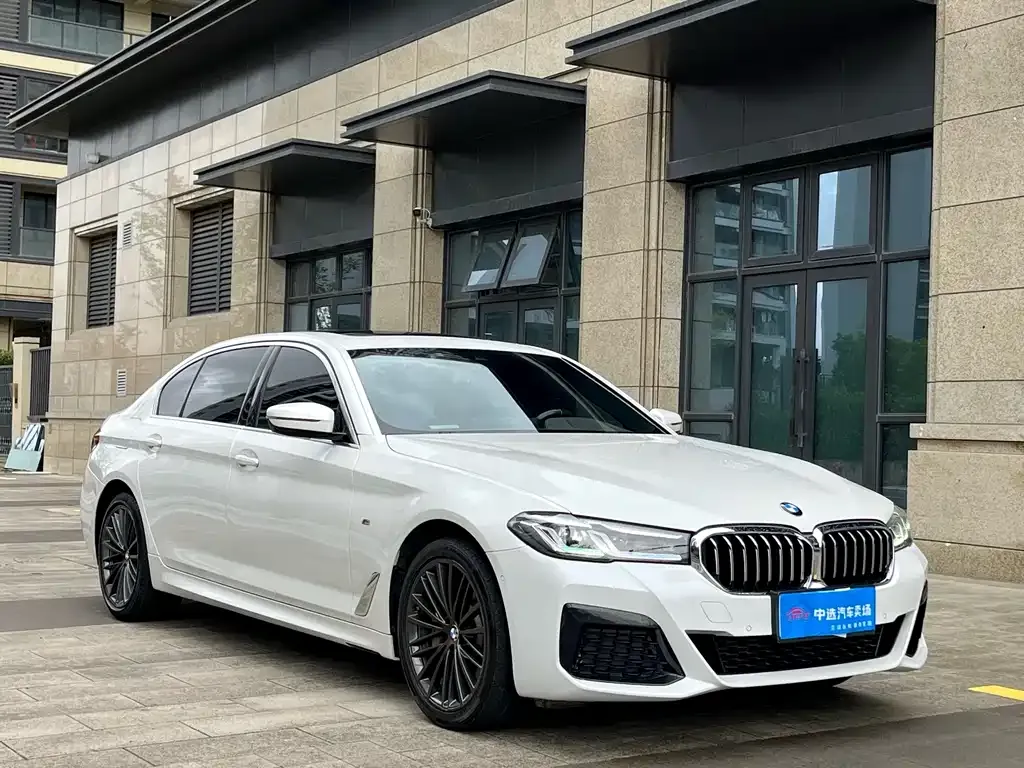 BMW 5 Series 2021 из CN, фото 3