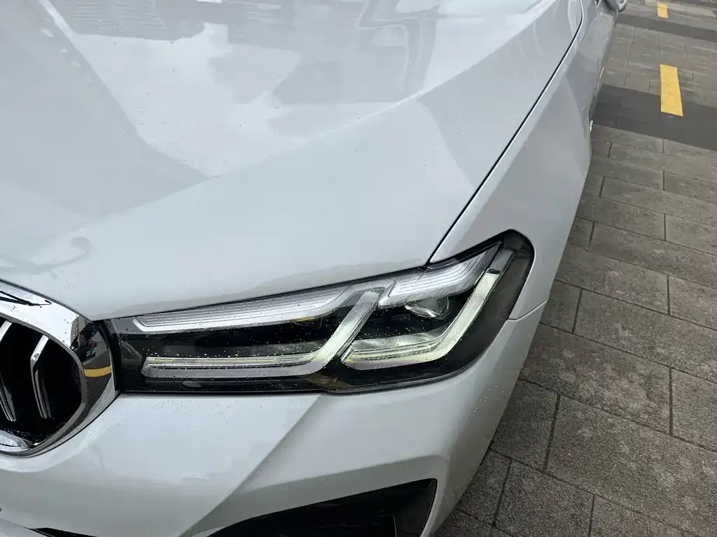 BMW 5 Series 2021 из CN, фото 4