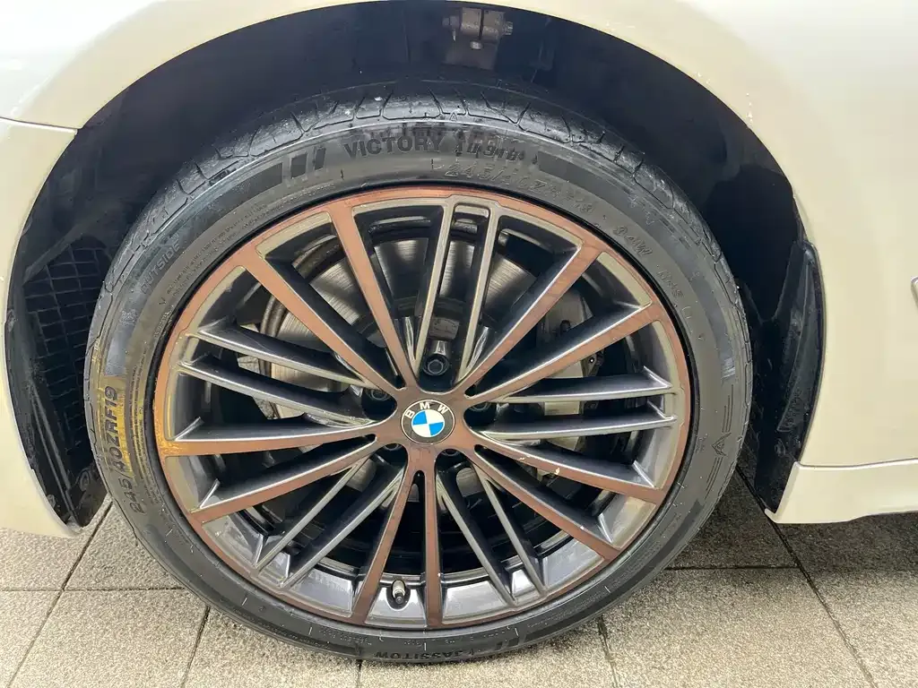 BMW 5 Series 2021 из CN, фото 5