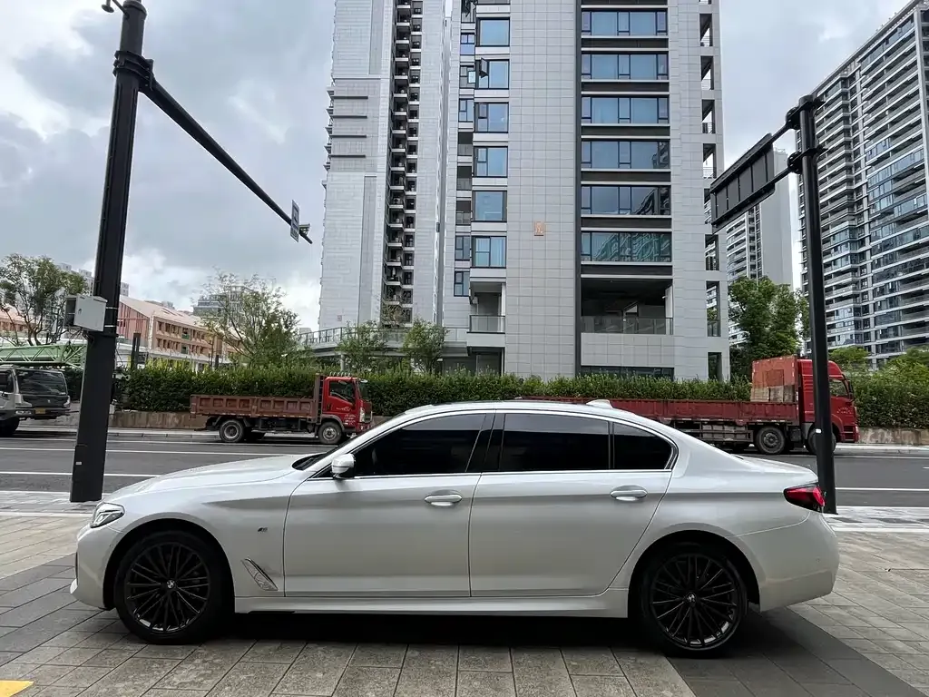 BMW 5 Series 2021 из CN, фото 6