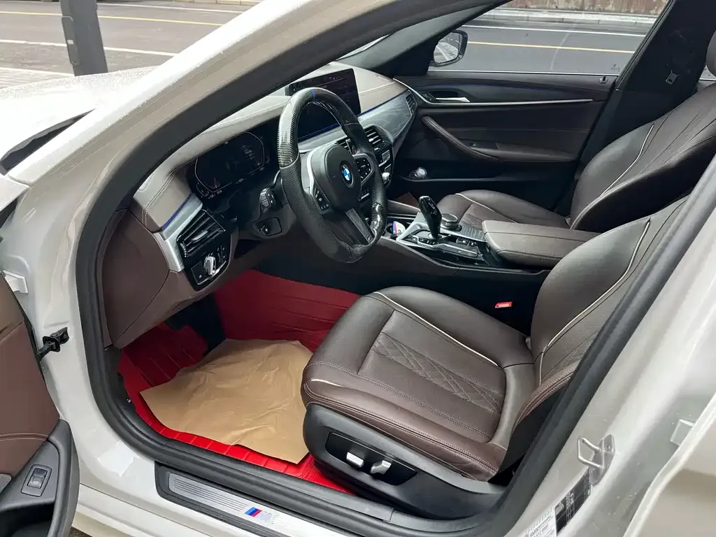 BMW 5 Series 2021 из CN, фото 7