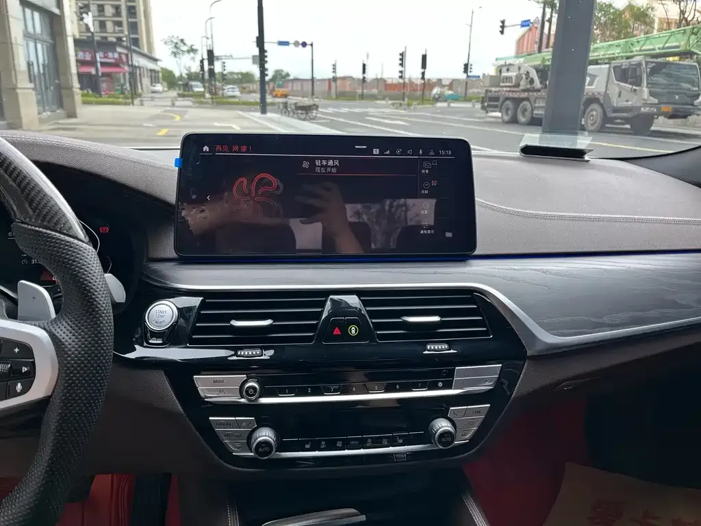 BMW 5 Series 2021 из CN, фото 9