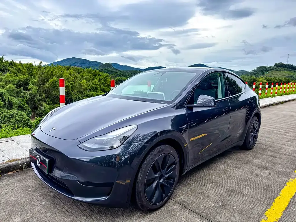 Tesla Model Y 2024 из CN, фото 1