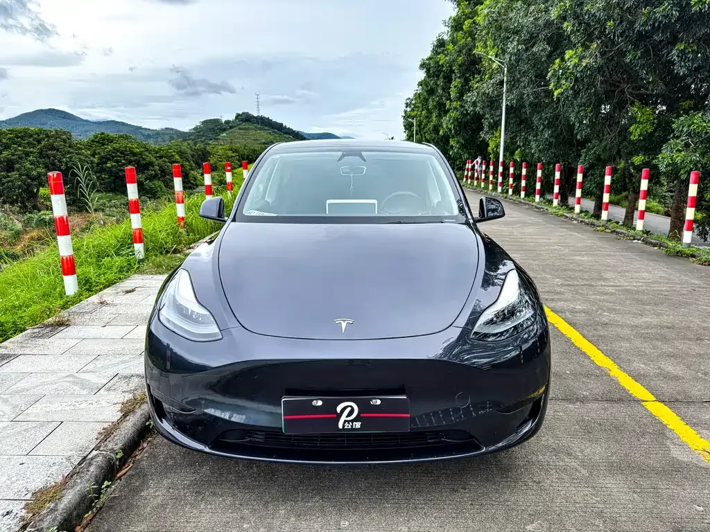 Tesla Model Y 2024 из CN, фото 2