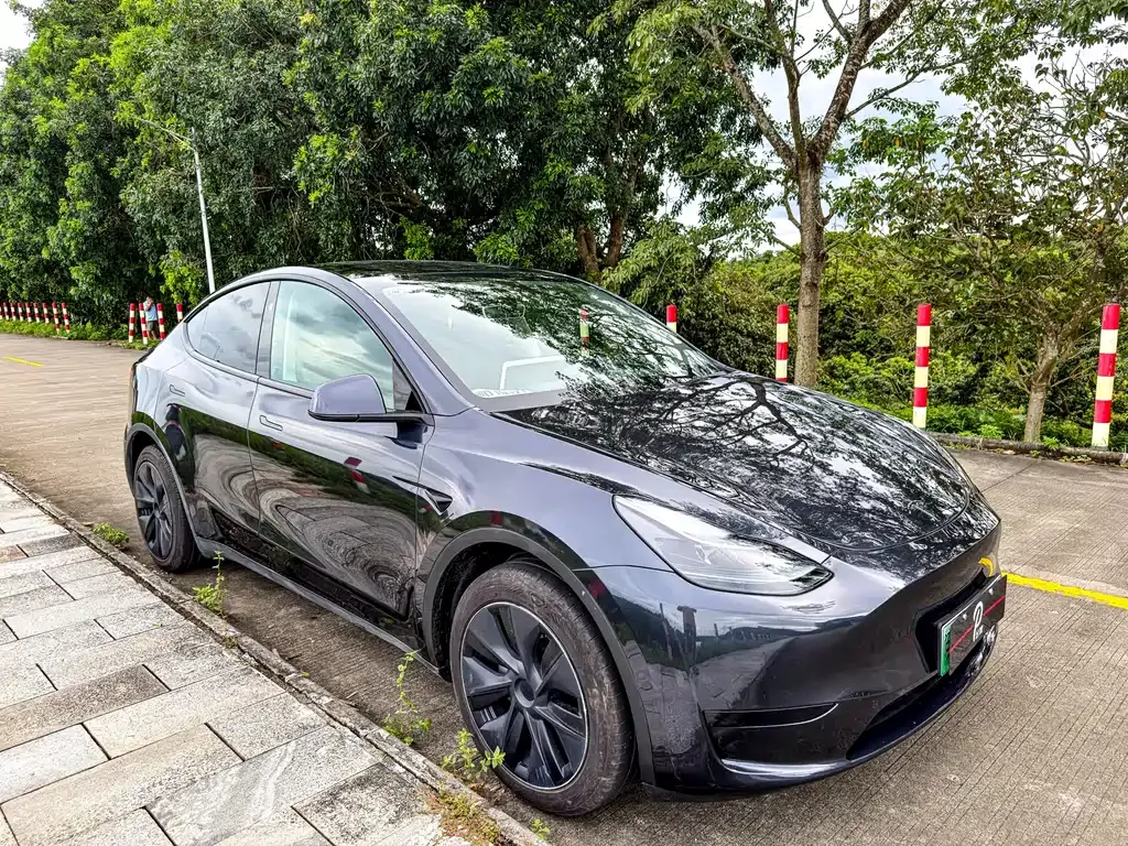 Tesla Model Y 2024 из CN, фото 3