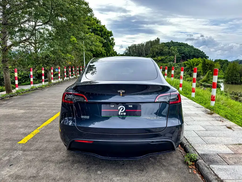 Tesla Model Y 2024 из CN, фото 5