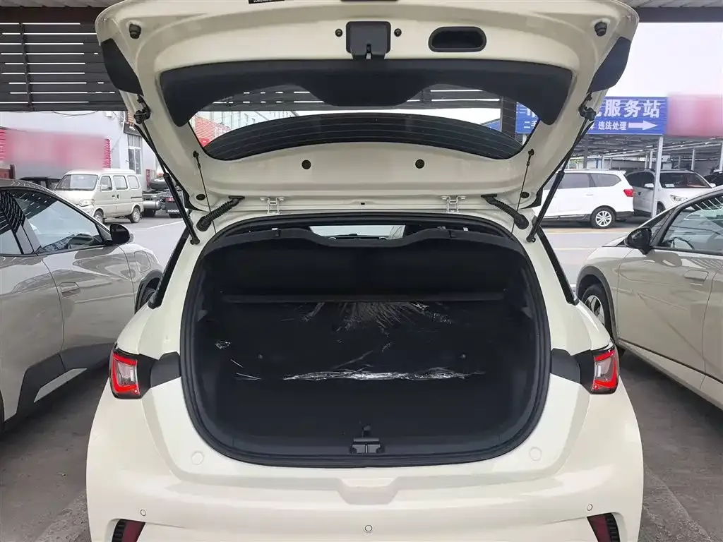 BYD Dolphin 2025 из CN, фото 9