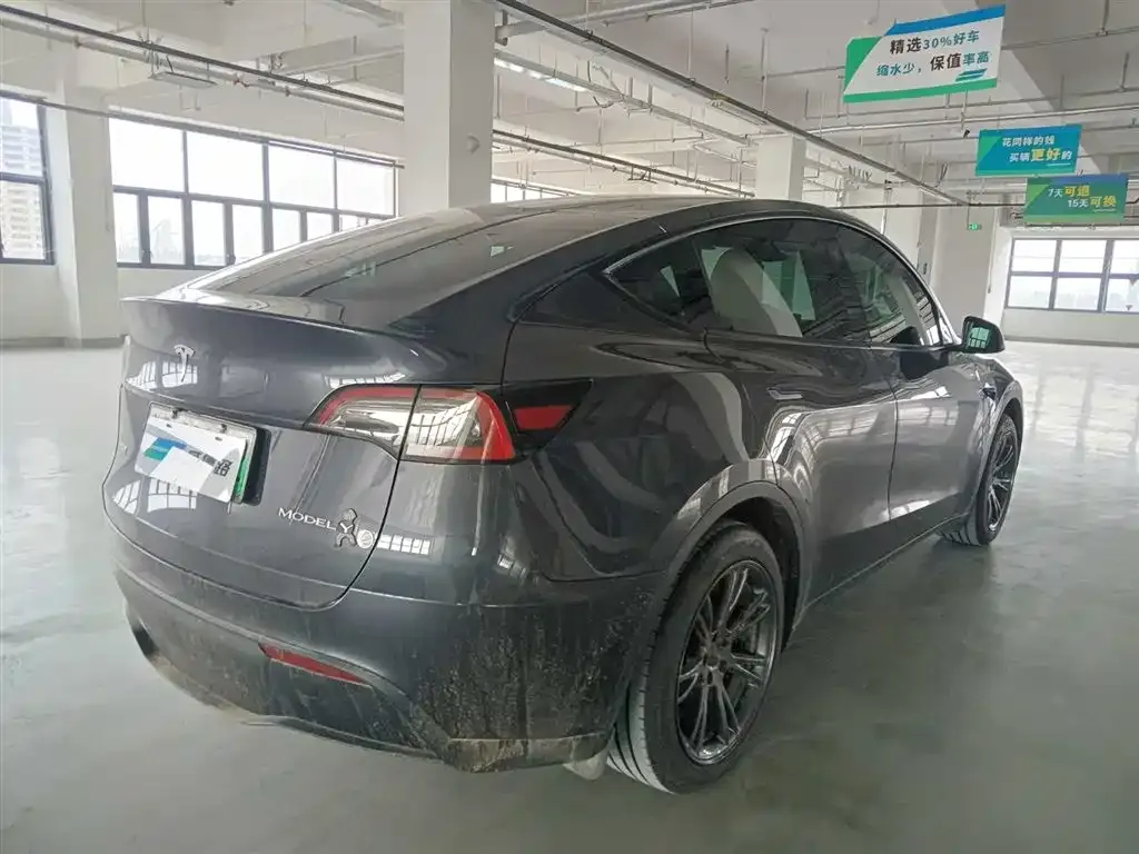 Tesla Model Y — фото 6