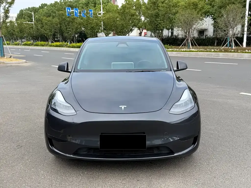 Tesla Model Y 2024 из CN, фото 2