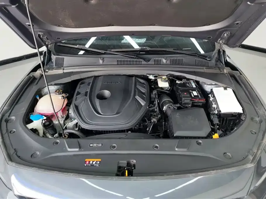 Geely Xingrui 2022 из CN, фото 10