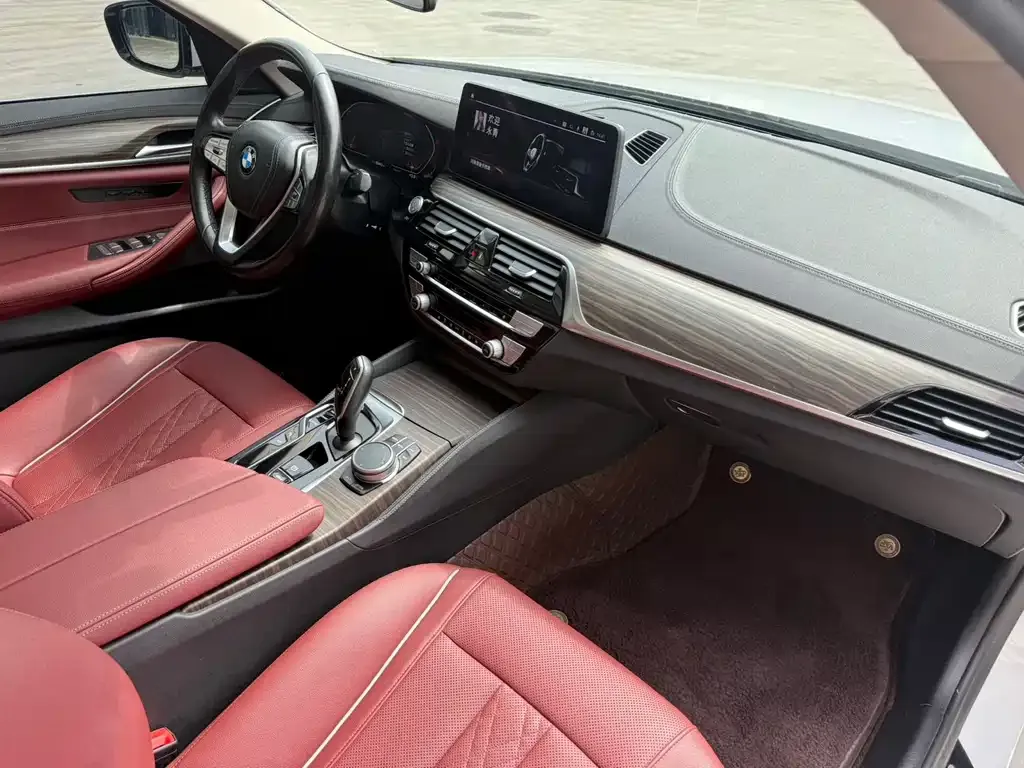 BMW 5 Series 2021 из CN, фото 10