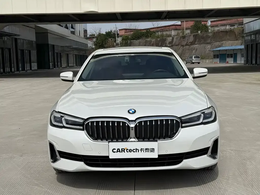 BMW 5 Series 2021 из CN, фото 2