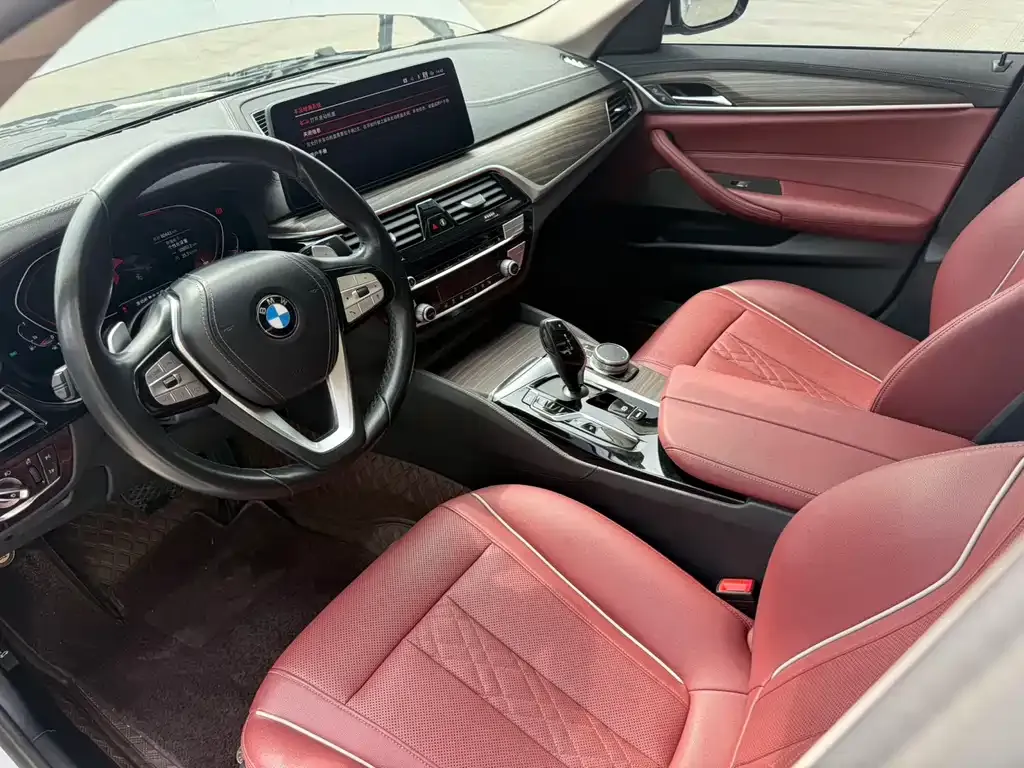 BMW 5 Series 2021 из CN, фото 7