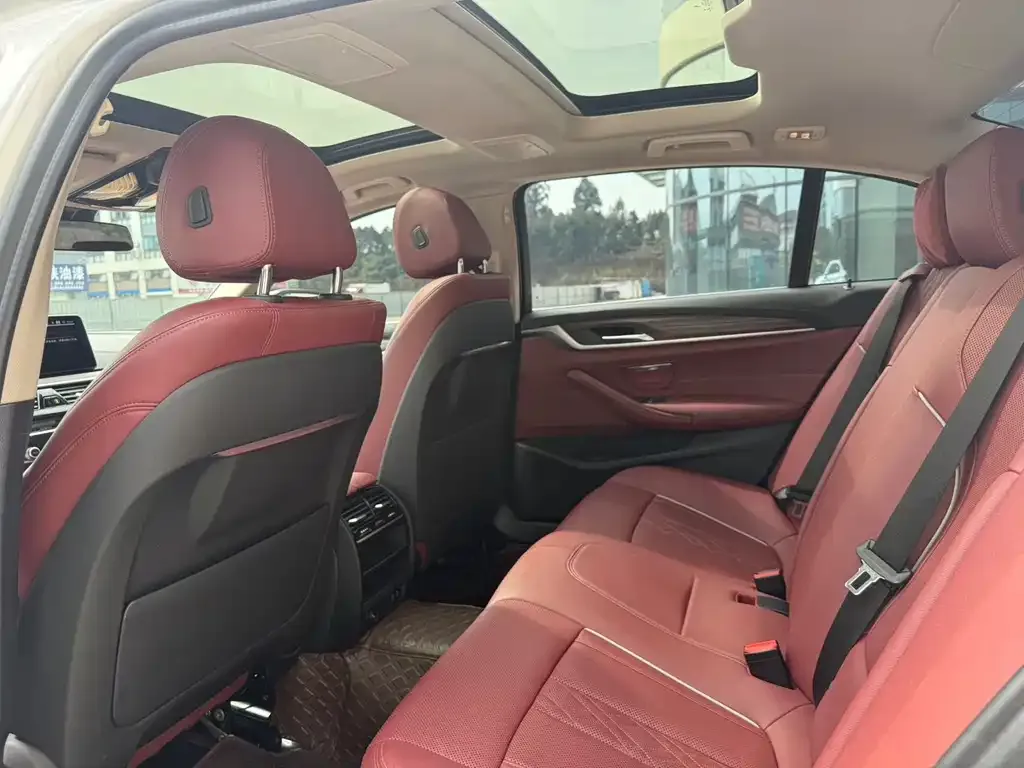 BMW 5 Series 2021 из CN, фото 8