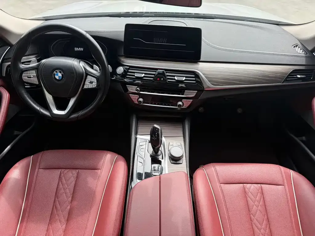 BMW 5 Series 2021 из CN, фото 9