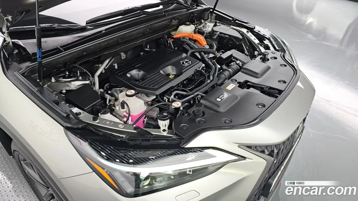 Lexus NX 2025 из KR, фото 6