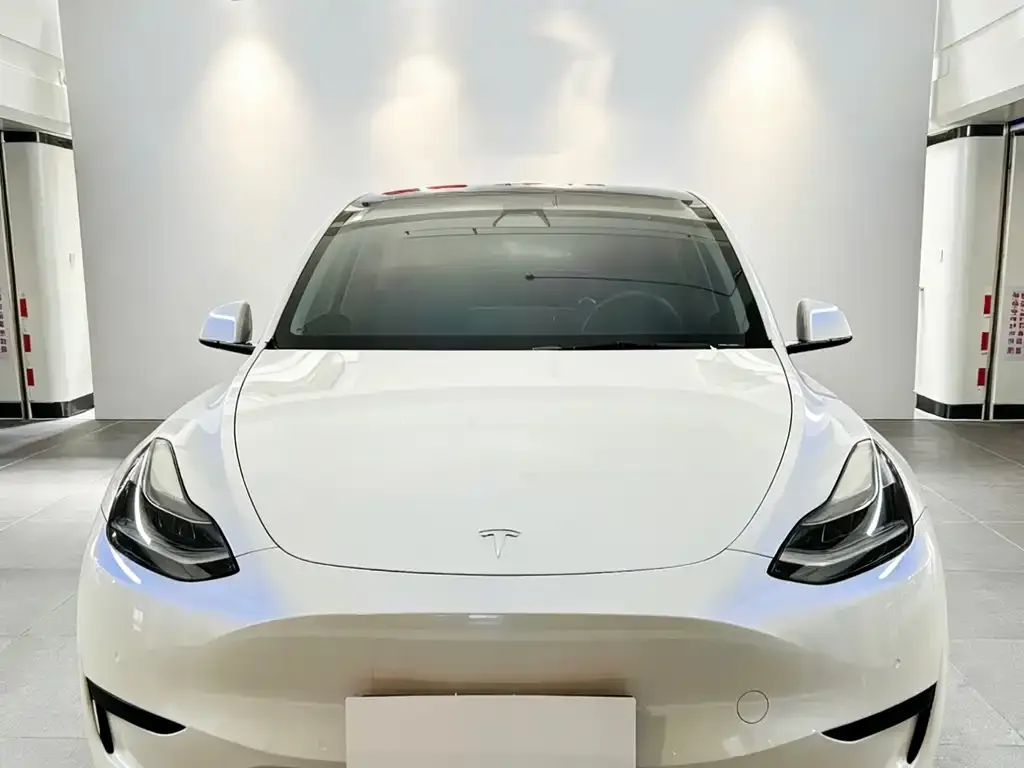 Tesla Model Y 2022 из CN, фото 2