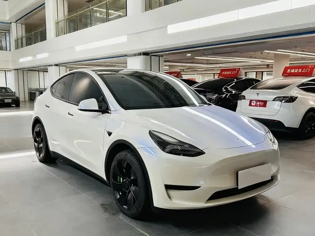Tesla Model Y 2022 из CN, фото 3