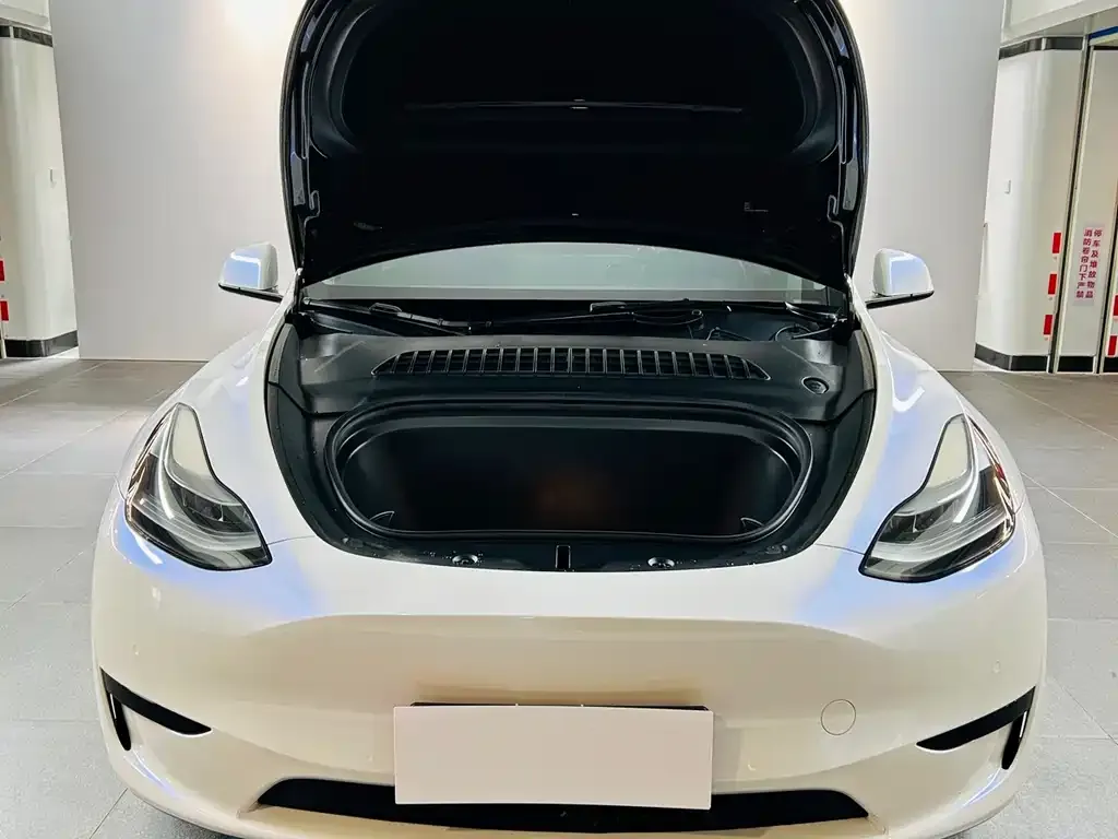 Tesla Model Y 2022 из CN, фото 5
