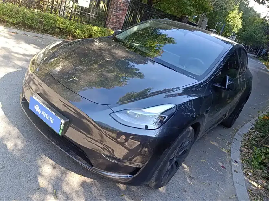 Tesla Model Y — фото 1