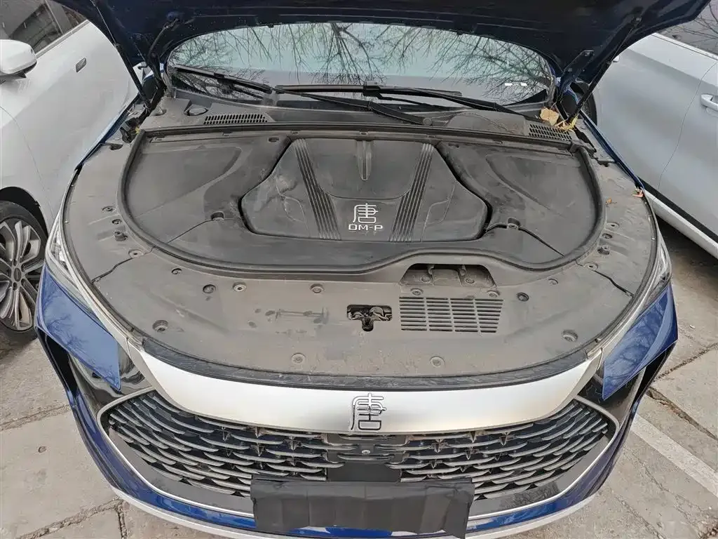 BYD Tang New Energy — фото 10