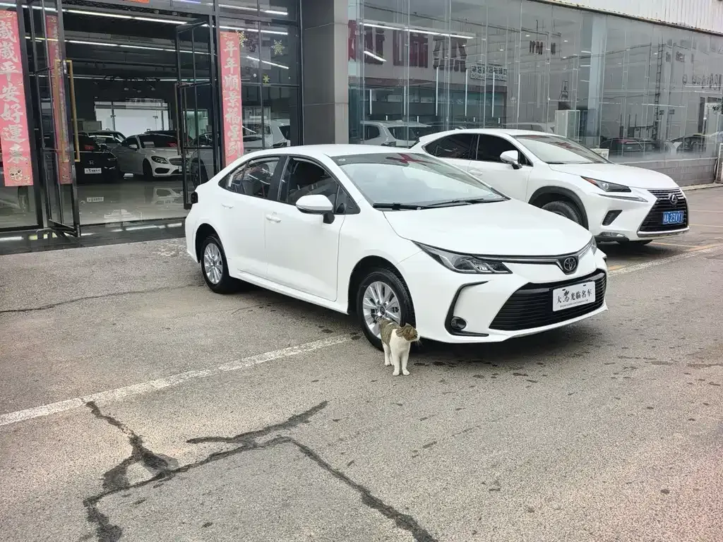 Toyota Corolla — фото 3