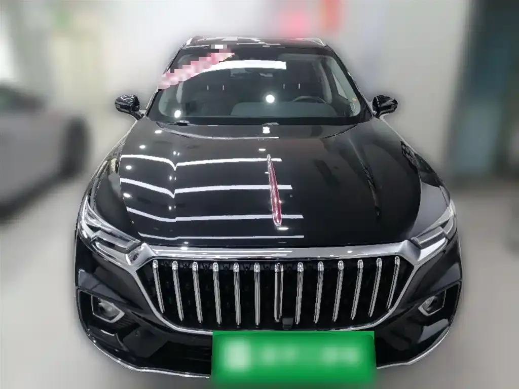 Hongqi HS5 2023 из CN, фото 5
