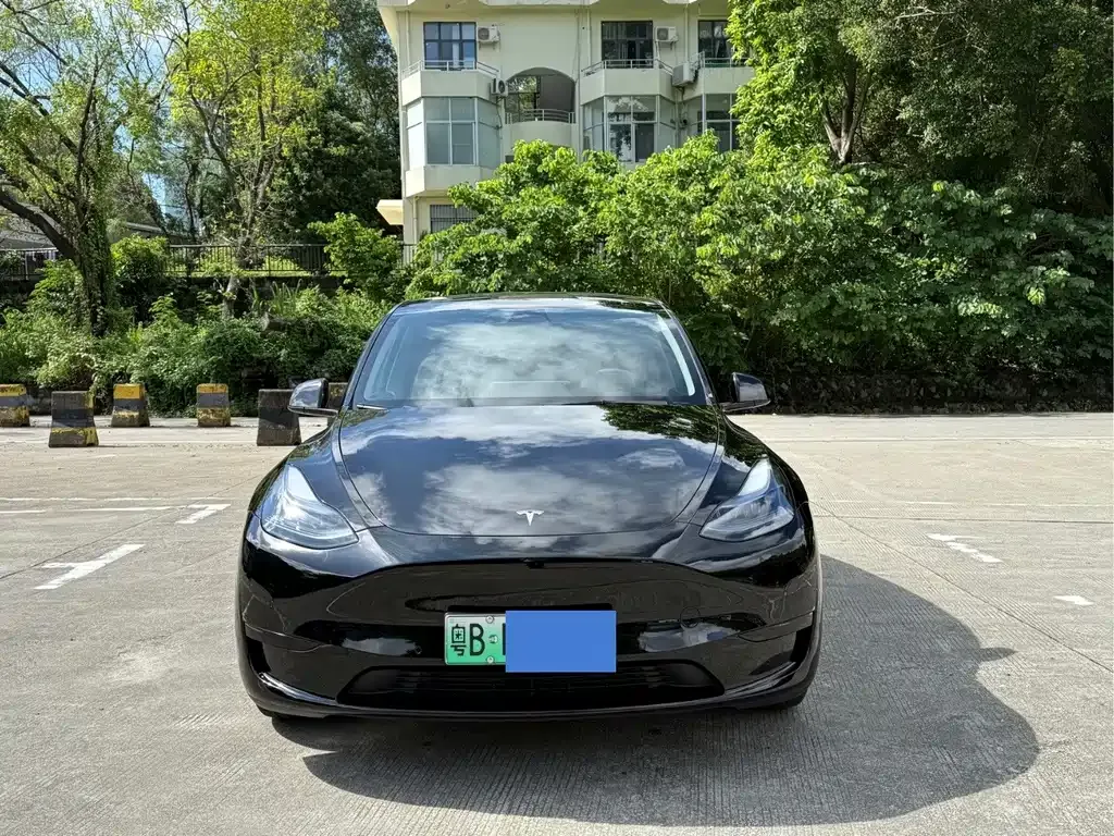 Tesla Model Y — фото 2