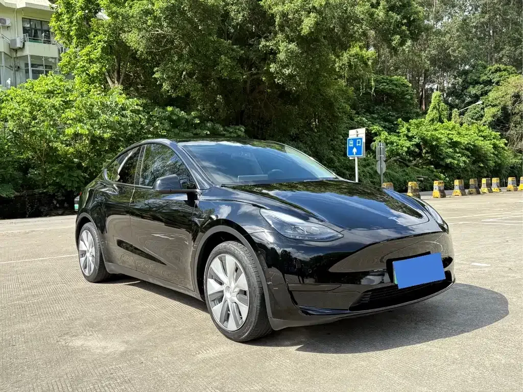 Tesla Model Y — фото 3