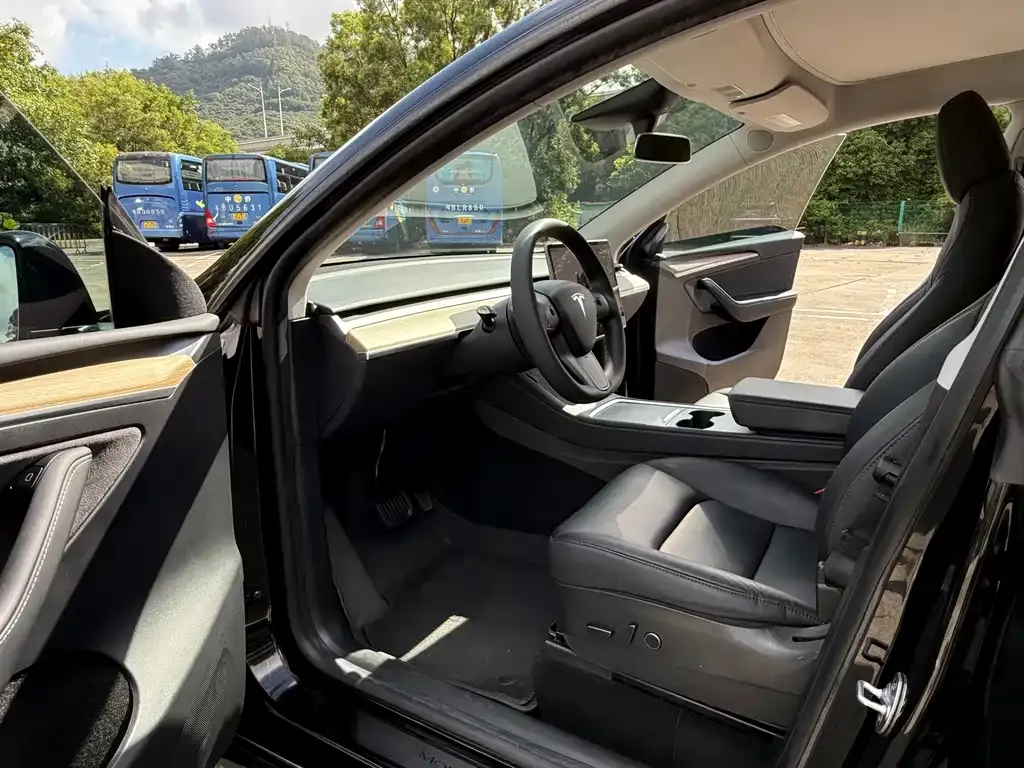 Tesla Model Y — фото 4