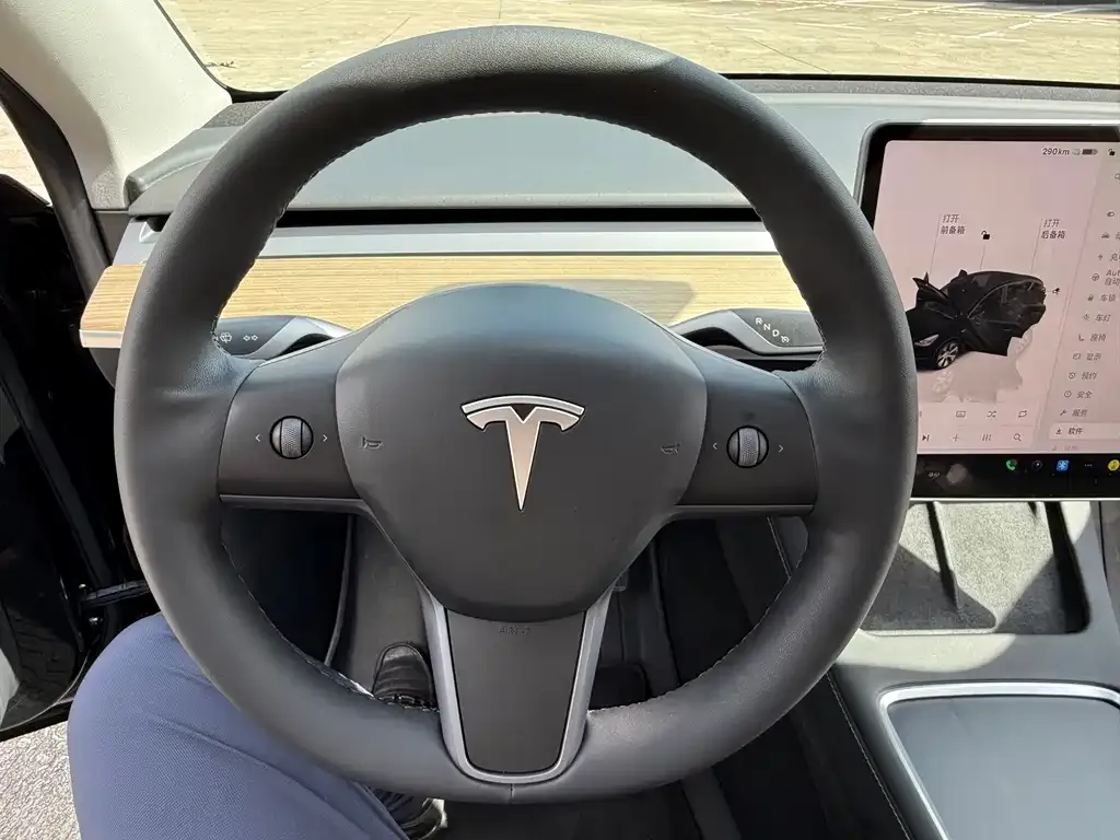 Tesla Model Y — фото 5
