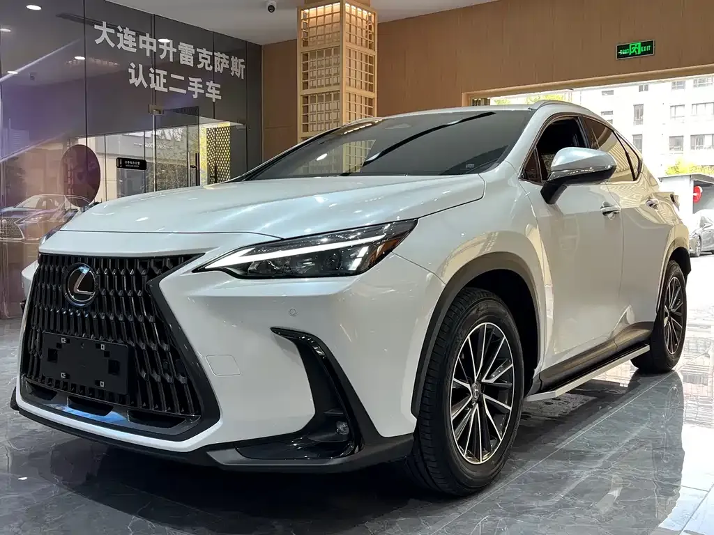 Lexus NX 2024 из CN, фото 1