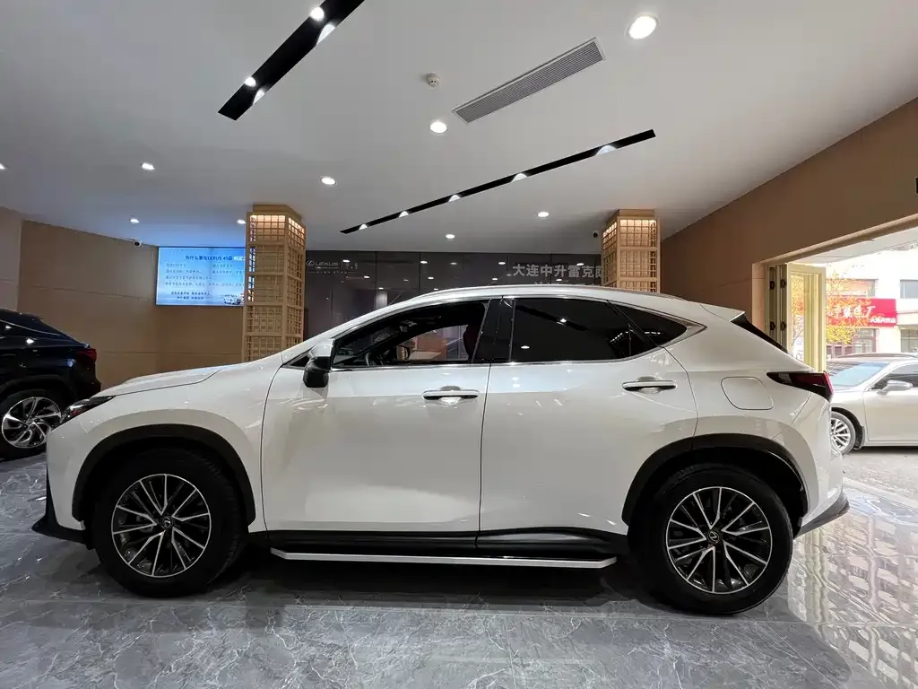 Lexus NX 2024 из CN, фото 4