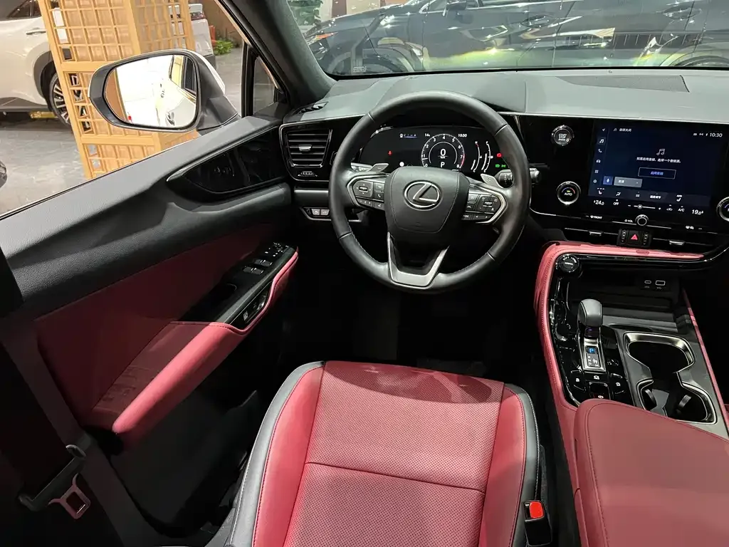 Lexus NX 2024 из CN, фото 5